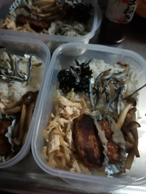 f:id:nekotoneru:20180530134507j:image