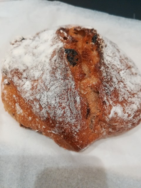 f:id:nekotoneru:20200124124239j:image