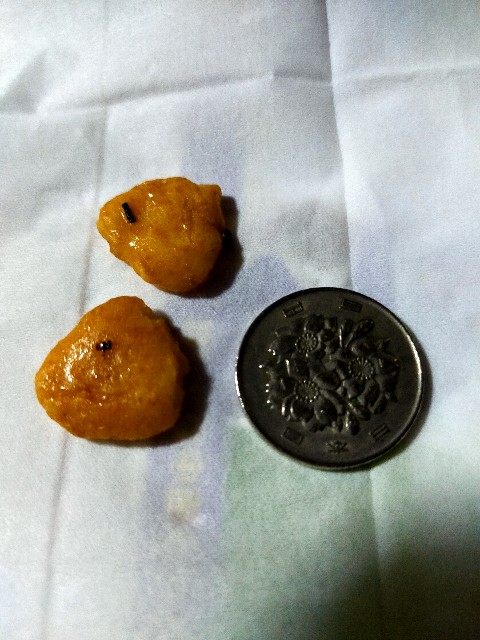 f:id:nekotoneru:20210328014452j:image